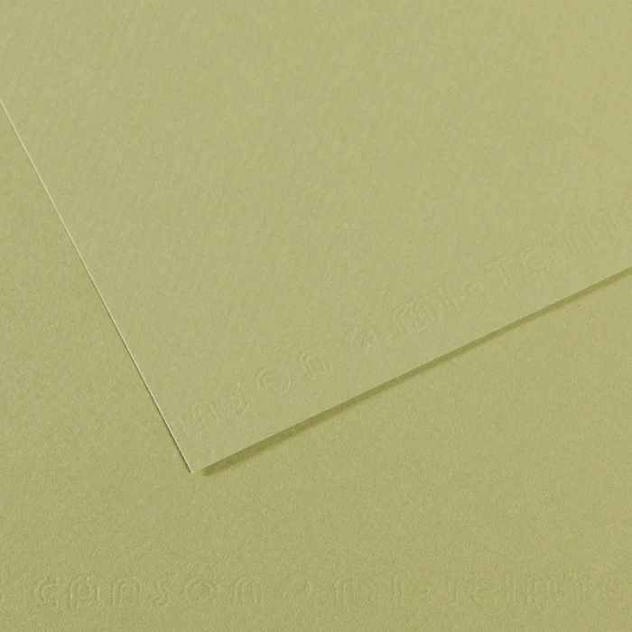Canson Mi-Teintes papier na pastel A4 160 g/m² 25H
