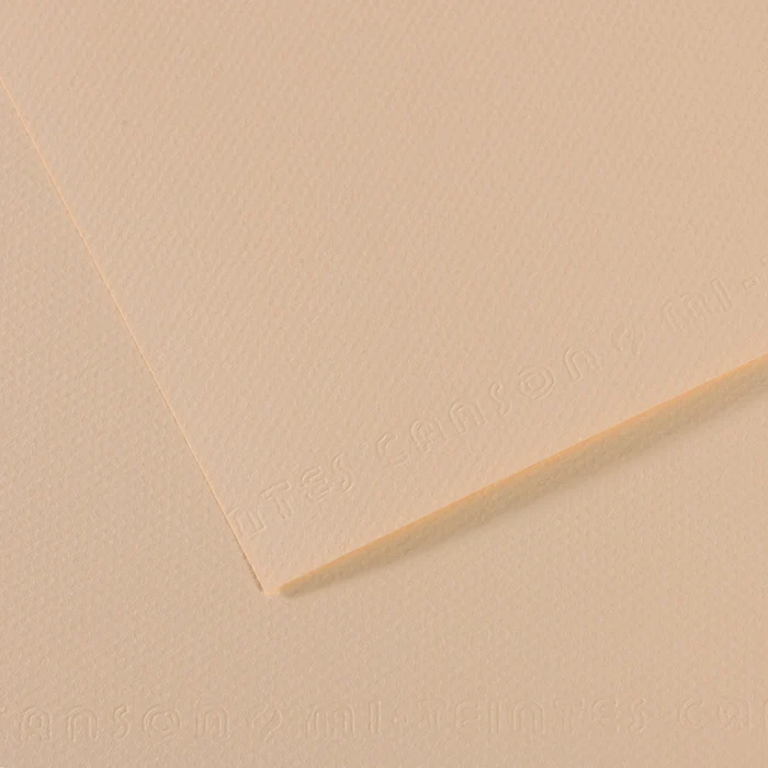 Canson Mi-Teintes carta per pastello A3 160 g 25 fogli