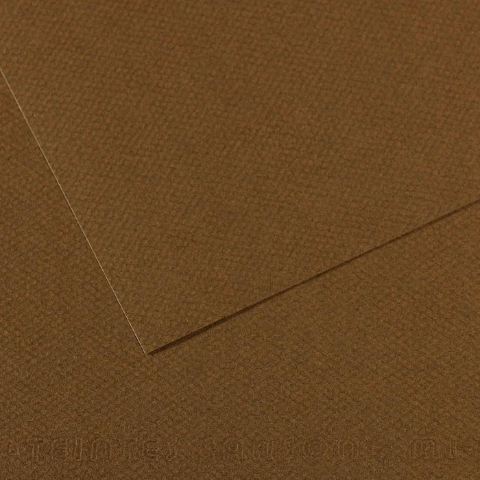 Canson Mi-Teintes papier na pastel A3 160 g 25 hárkov