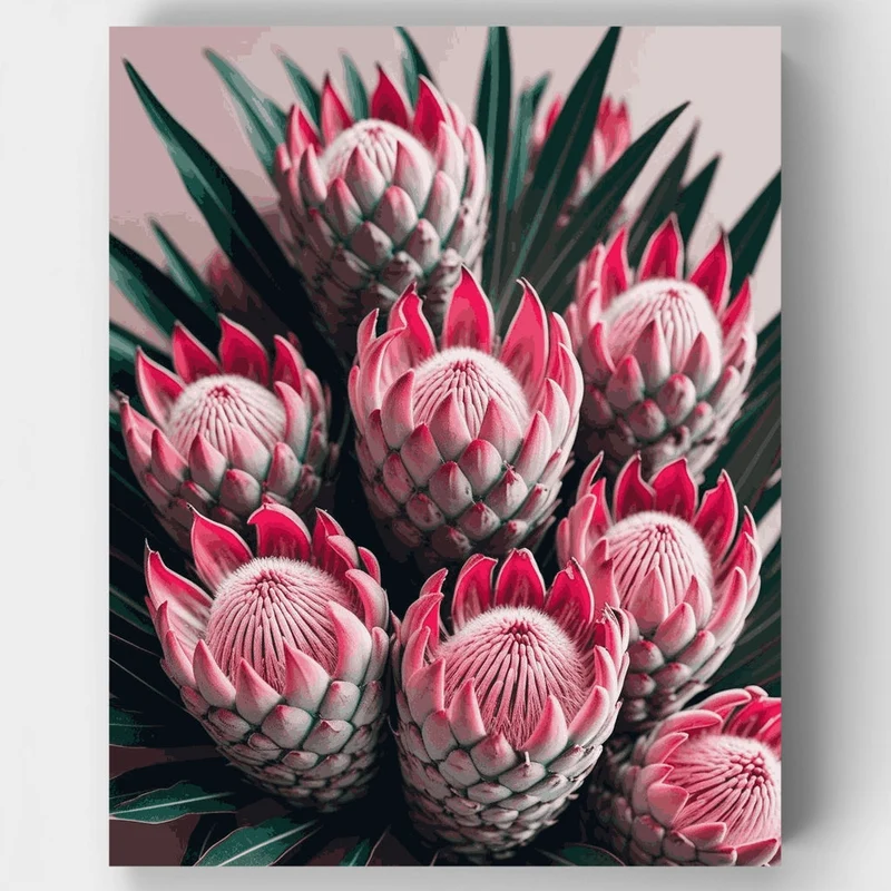 Pink Protea Cluster Arrangement - Paint by Numbers Kit