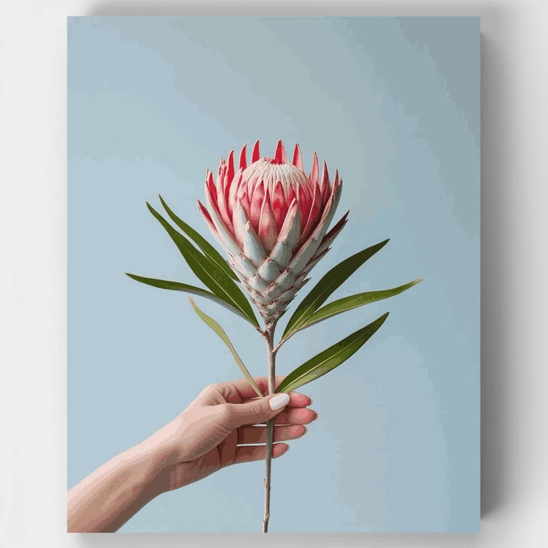 Pink Protea Flower in Hand - Paint by Numbers Kit