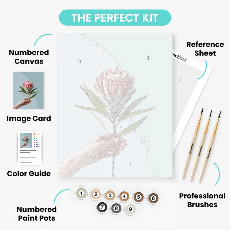 Pink Protea Flower in Hand - Paint by Numbers Kit