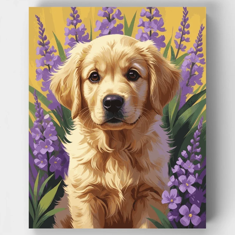 Golden Retriever in Purple Lavender Field - Paint by Numbers Kit