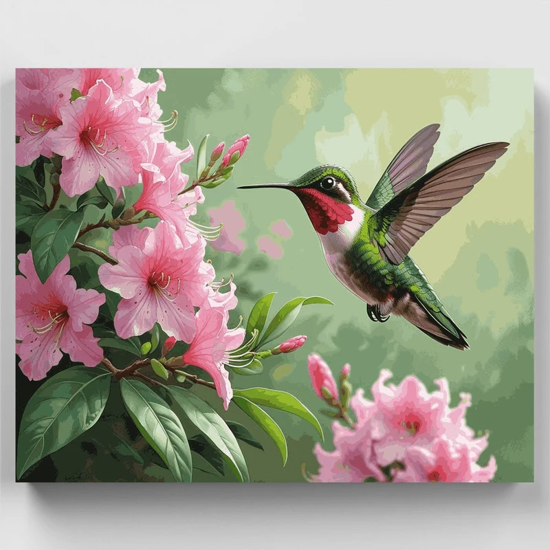 Hummingbird with Pink Flowers - Paint by Numbers Kit