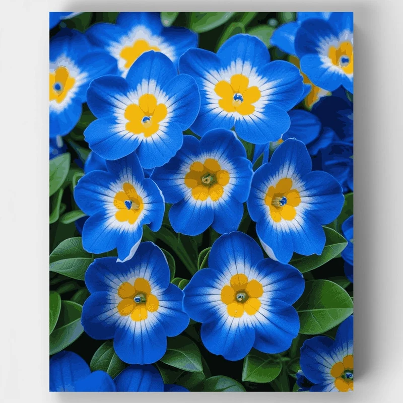 Blue Flowers - Paint by Numbers Kit