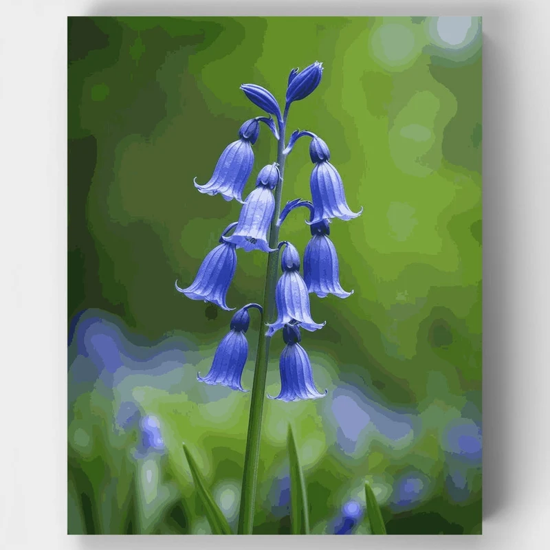 Bluebell Flower Spike - Paint by Numbers Kit