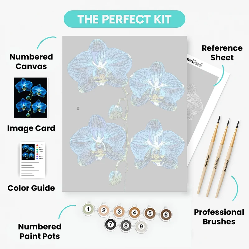 Elegant Blue Orchid Stem - Paint by Numbers Kit