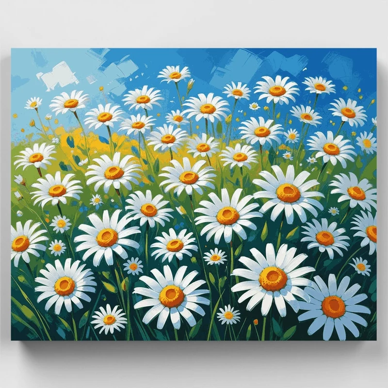 Daisy Field - Paint by Numbers Kit
