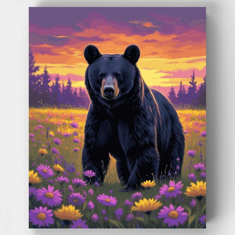 Black Bear in Wildflower Meadow at Sunset - Paint by Numbers Kit