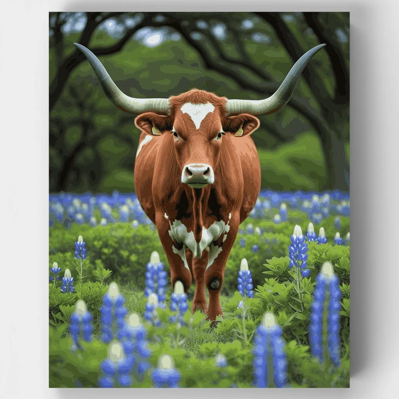 Texas Longhorn in Bluebonnets - Paint by Numbers Kit