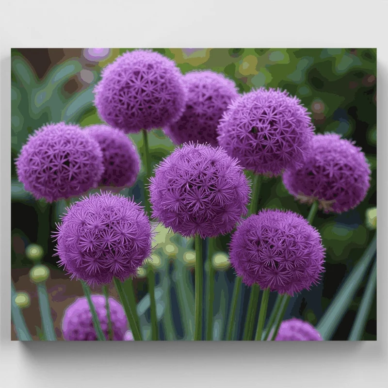 Purple Allium Flowers - Paint by Numbers Kit