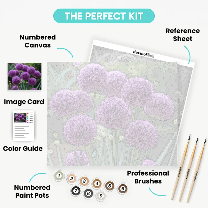 Purple Allium Flowers - Paint by Numbers Kit