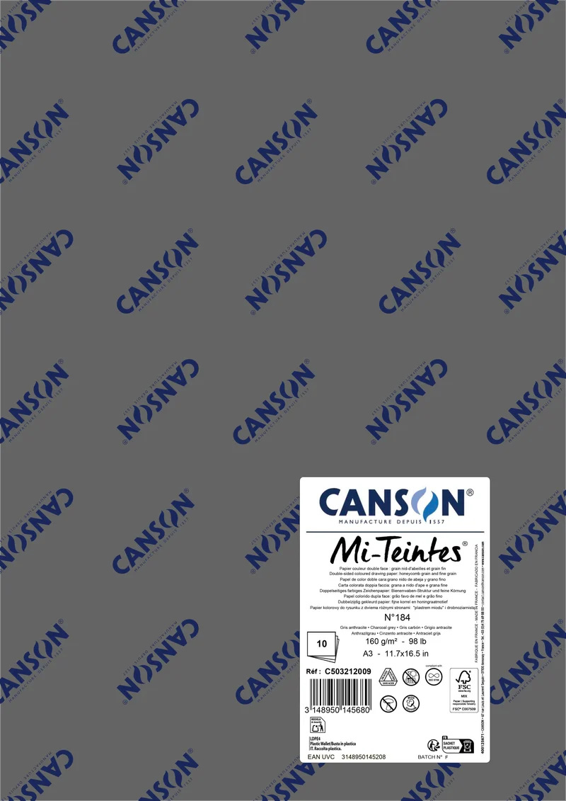 Carta per pastello Canson Mi-Teintes A3 160 g - 10 fogli