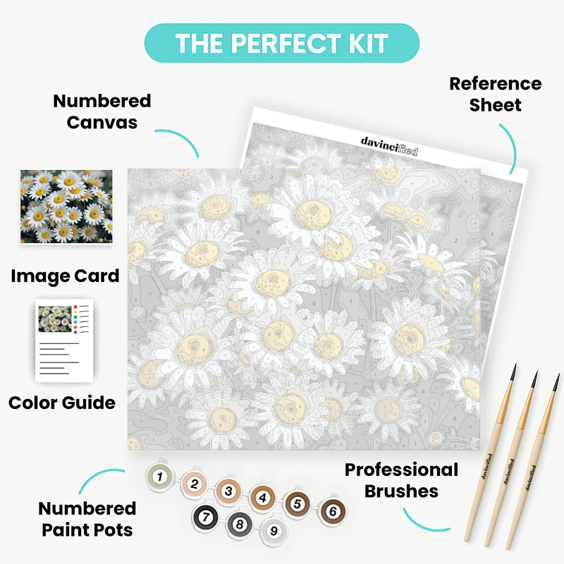 White Daisies Garden - Paint by Numbers Kit