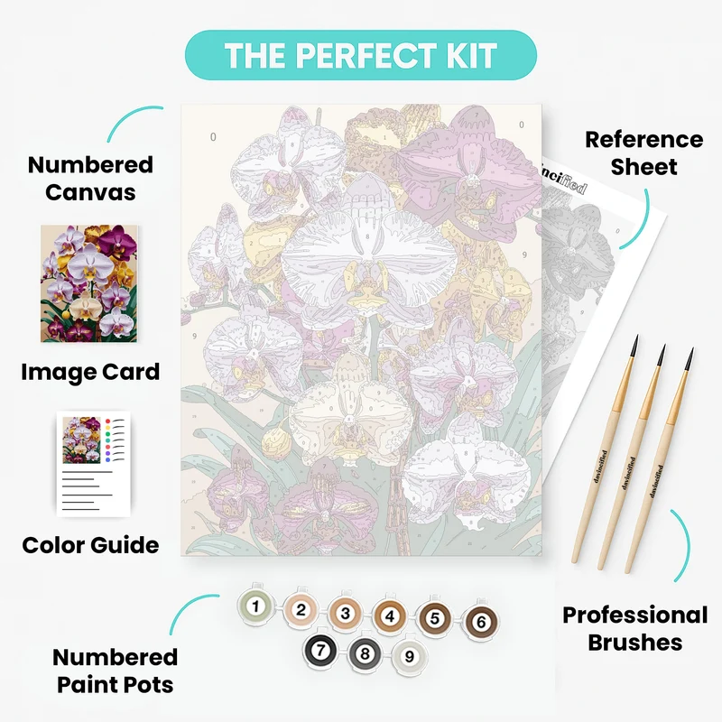 Vibrant Orchid Collection - Paint by Numbers Kit