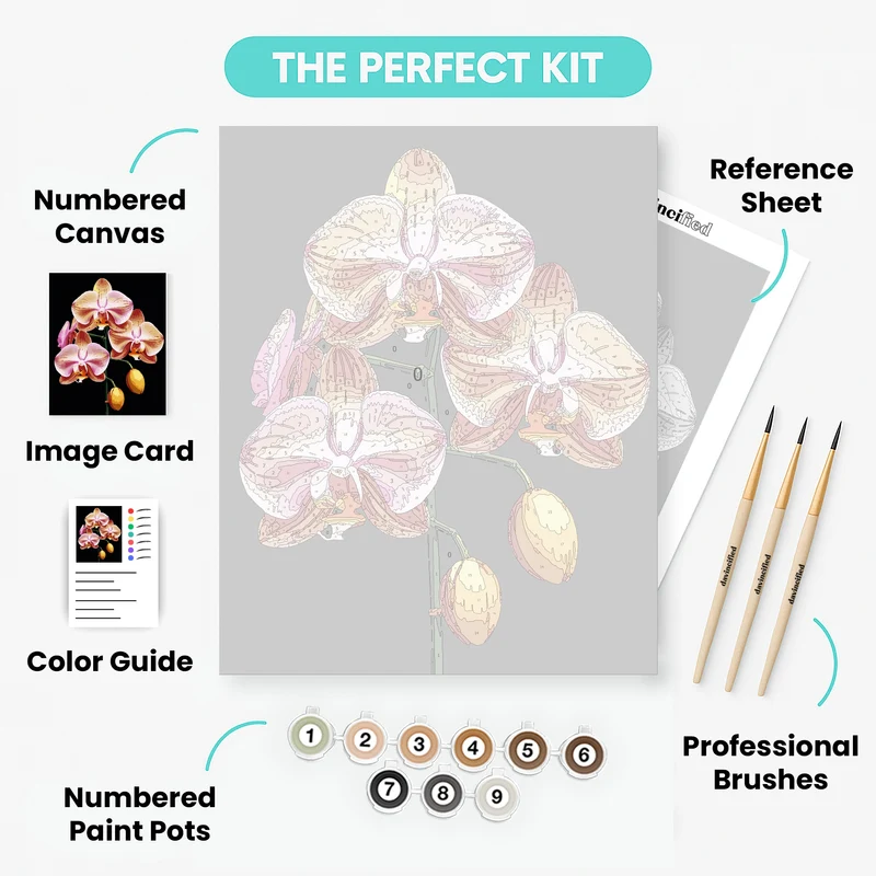 Elegant Orchid Blooms Black Background - Paint by Numbers Kit