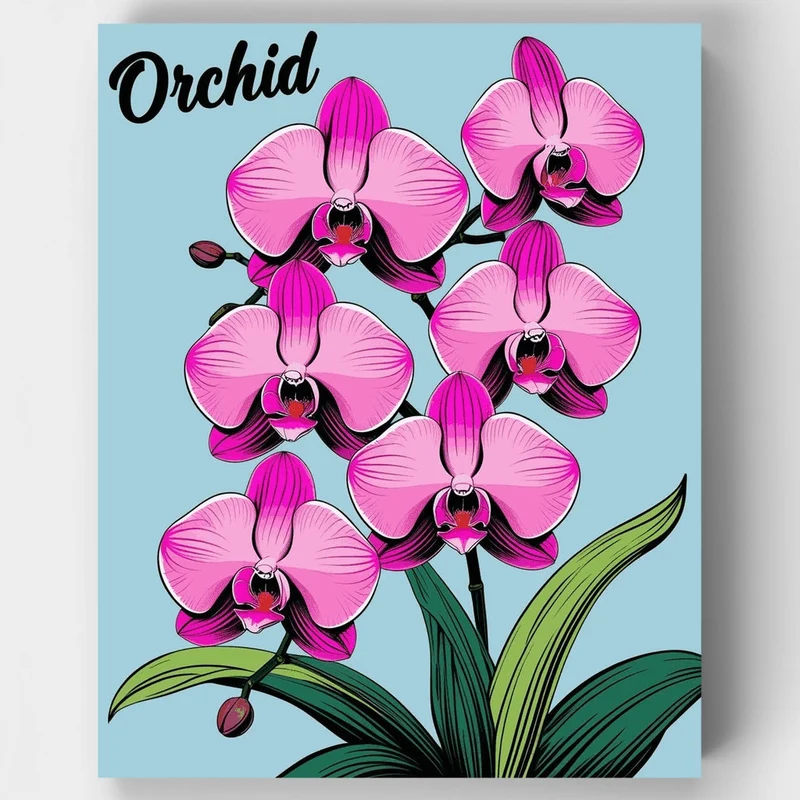 Orchid - Paint by Numbers Kit