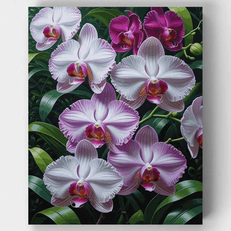 Purple and White Orchids - Paint by Numbers Kit