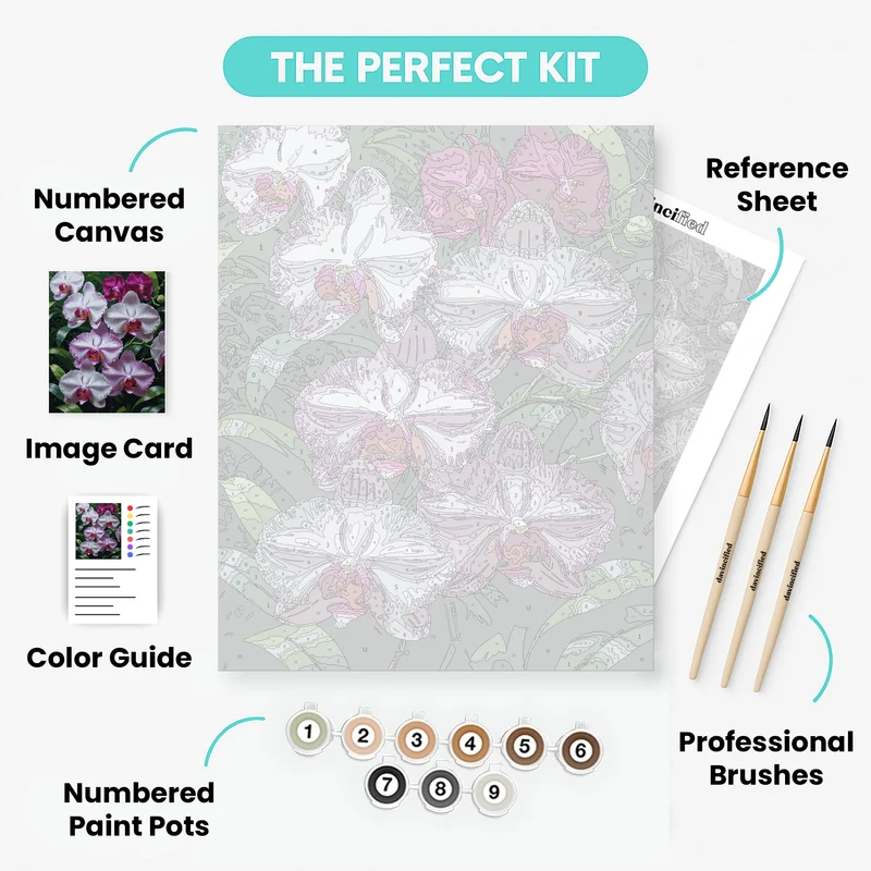 Purple and White Orchids - Paint by Numbers Kit