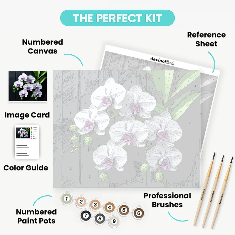 White Orchids with Purple Centers - Paint by Numbers Kit