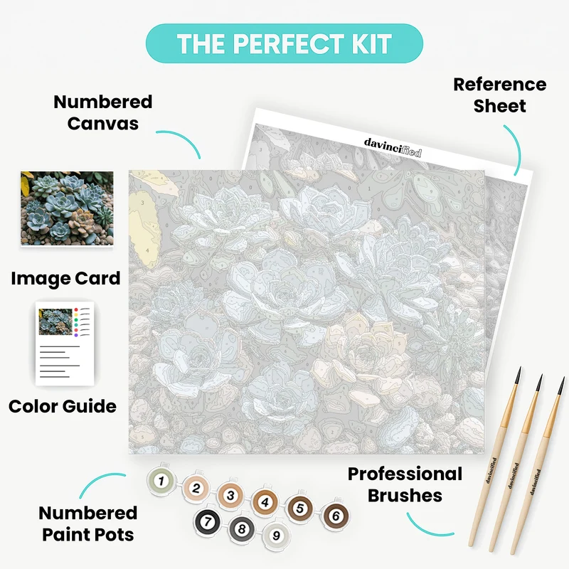 Serene Succulent Rock Garden - Paint by Numbers Kit