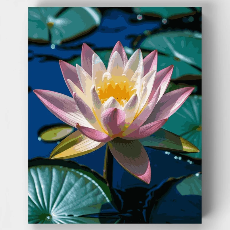 Serene Lotus Blossom on Tranquil Waters - Paint by Numbers Kit