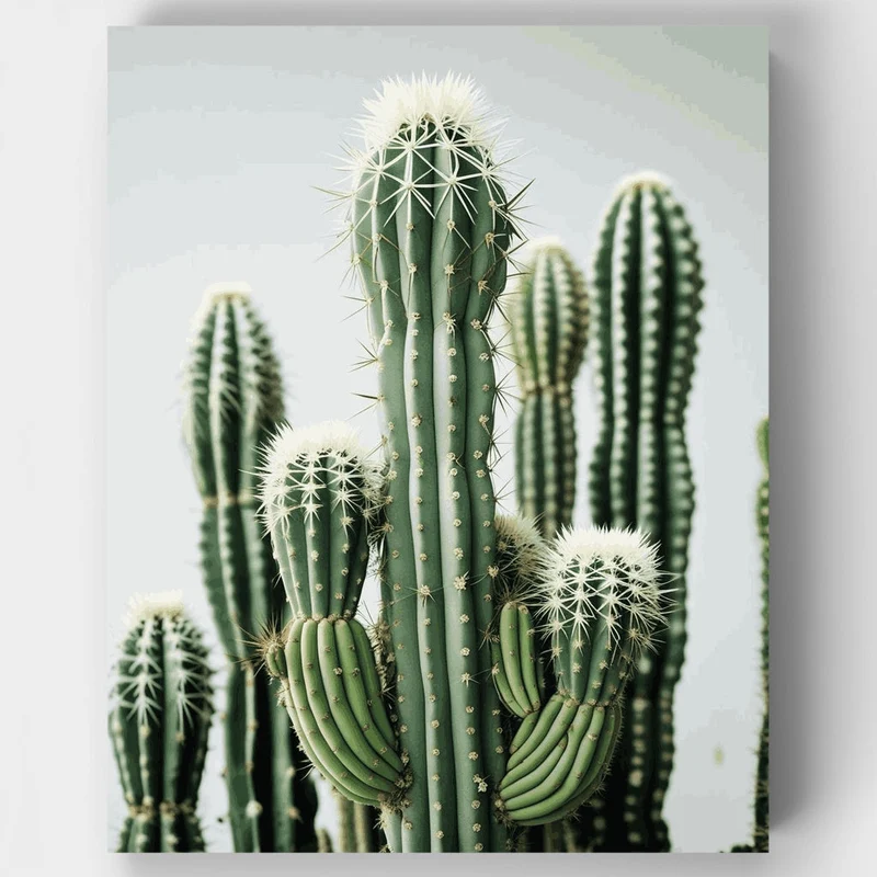 Desert Cactus Garden - Paint by Numbers Kit