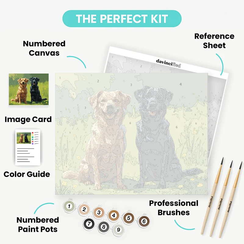 Loyal Labradors in Meadow - Paint by Numbers Kit