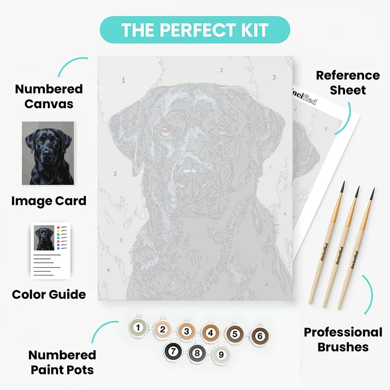 Black Labrador Portrait - Paint by Numbers Kit
