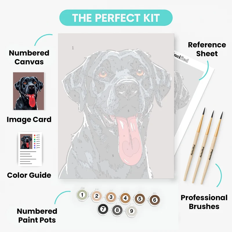 Black Labrador with Bright Orange Eyes - Paint by Numbers Kit