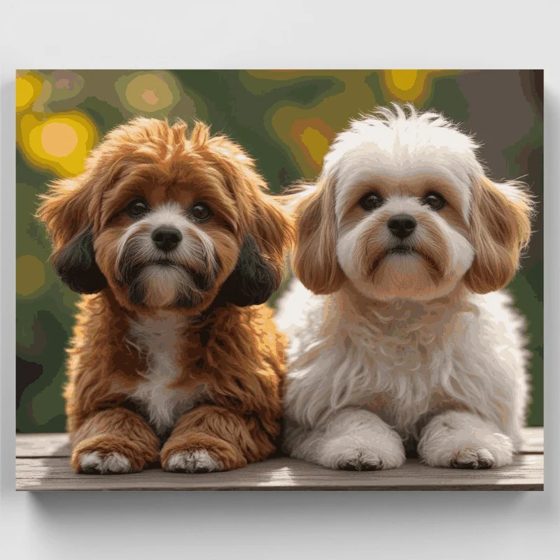 Two Adorable Cavapoo Dogs - Paint by Numbers Kit