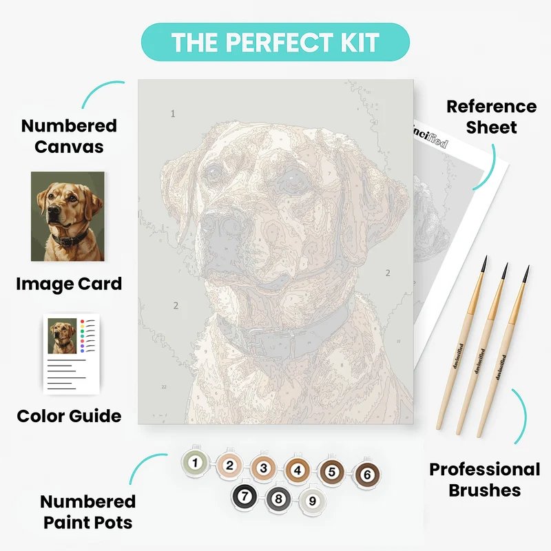 Golden Labrador Portrait - Paint by Numbers Kit