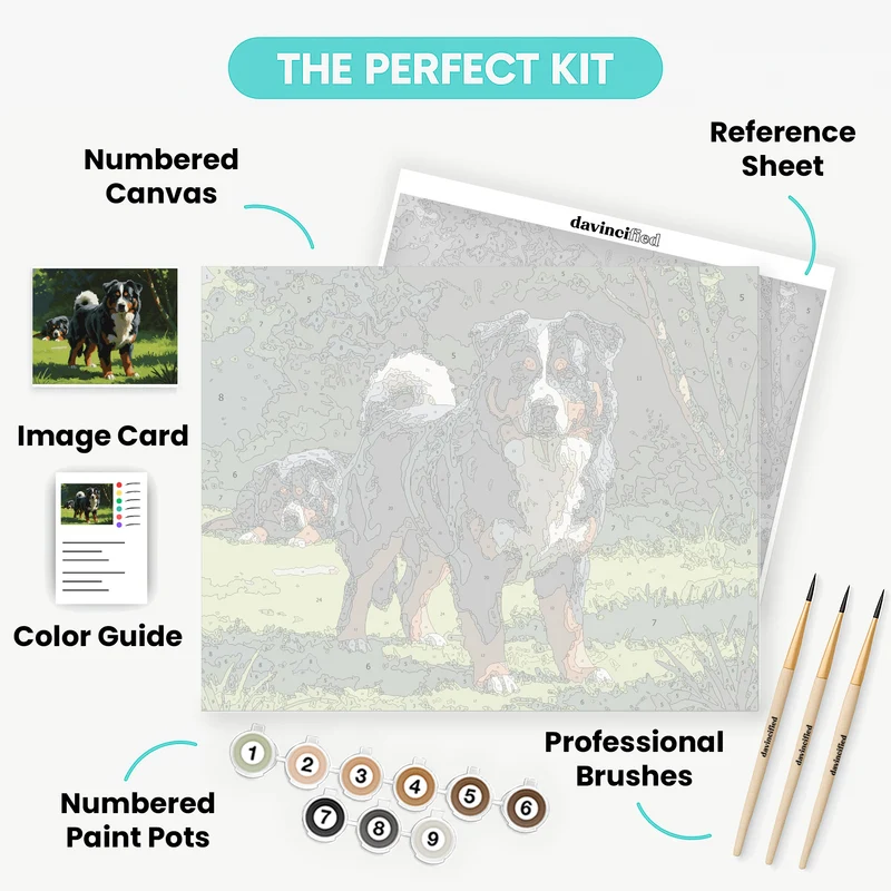 Bernese Mountain Dogs in Nature - Paint by Numbers Kit