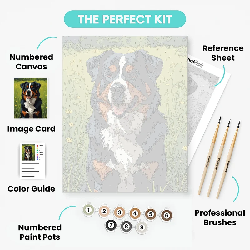 Bernese Mountain Dog in Field - Paint by Numbers Kit