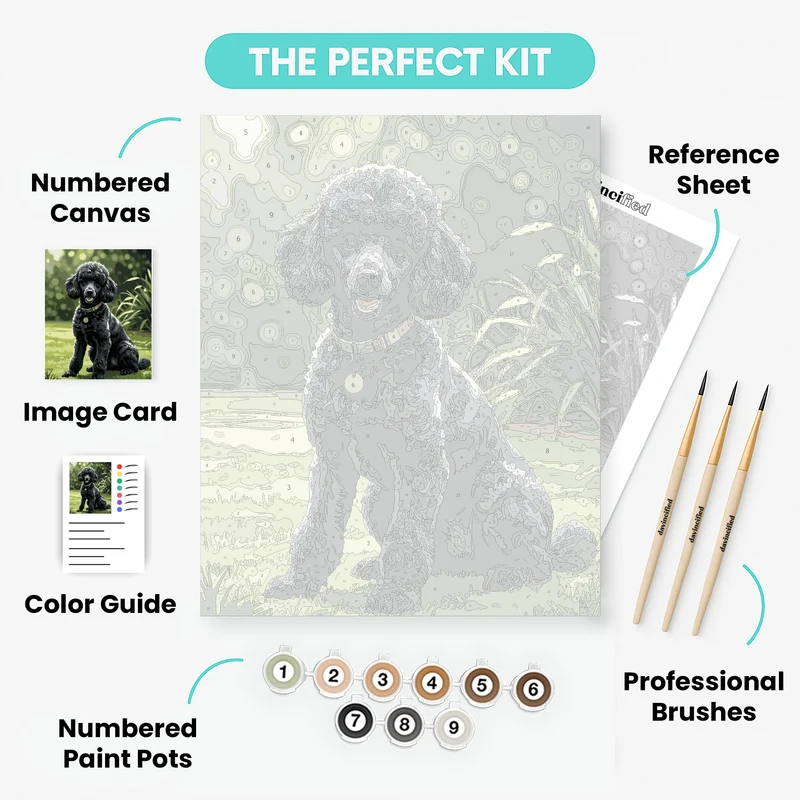 Black Poodle in Garden - Paint by Numbers Kit