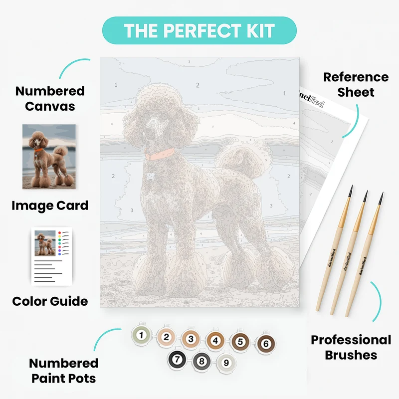 Elegant Poodle on the Beach - Paint by Numbers Kit