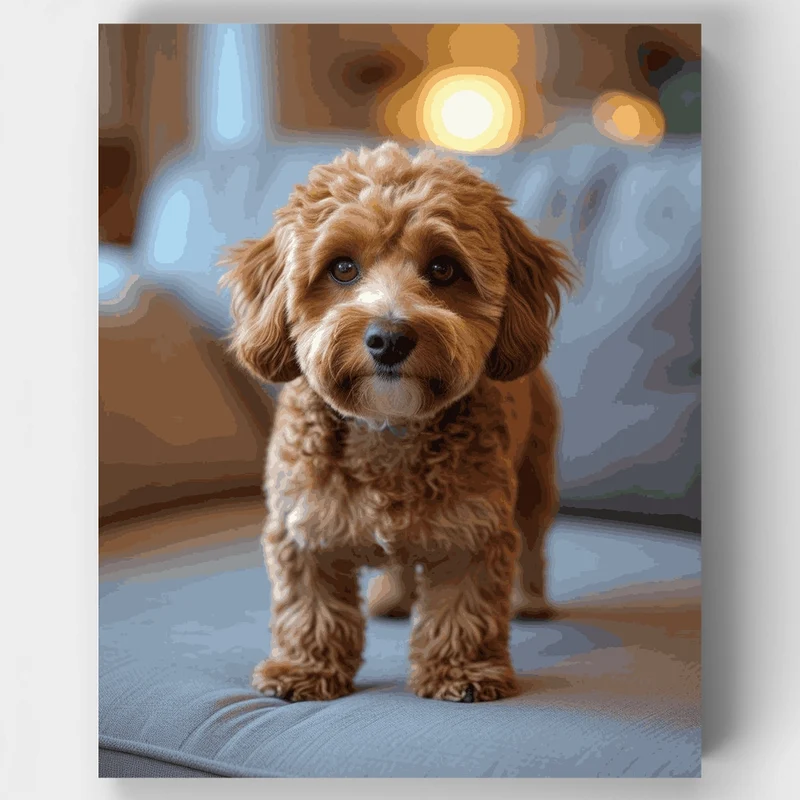 Cozy Cavapoo on Blue Bedding - Paint by Numbers Kit