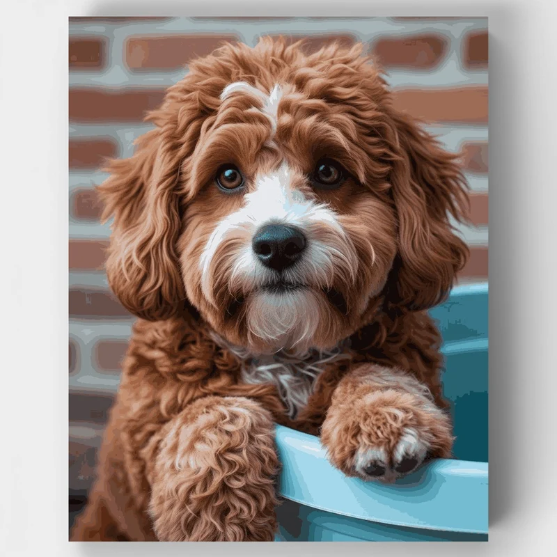 Curly Cavapoo with Soulful Eyes - Paint by Numbers Kit
