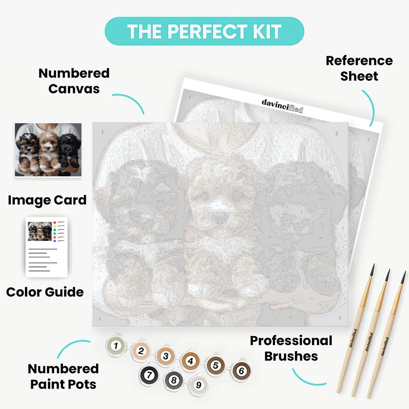 Three Adorable Cavapoo Puppies - Paint by Numbers Kit