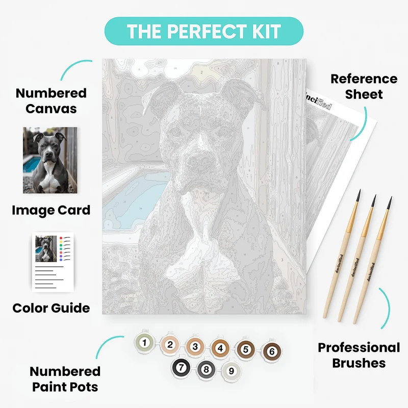 Gray and White Pitbull Portrait - Paint by Numbers Kit