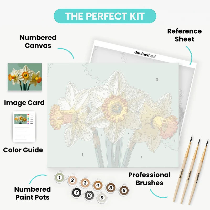 White Daffodils with Orange Centers - Paint by Numbers Kit