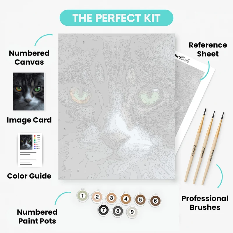 Mystical Cat Eyes - Paint by Numbers Kit
