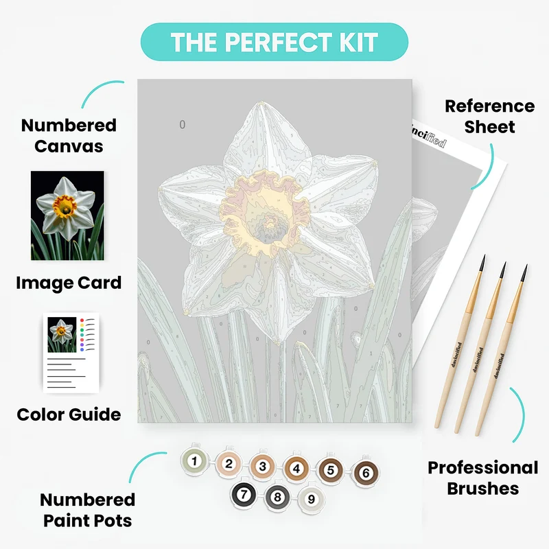 White Daffodil with Orange Crown - Paint by Numbers Kit