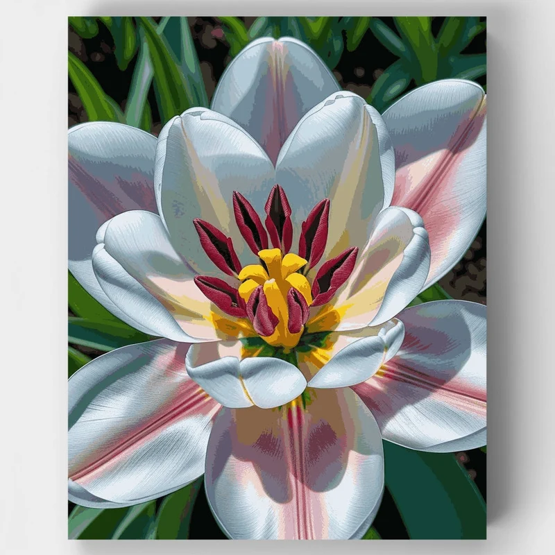 White Tulip Bloom - Paint by Numbers Kit