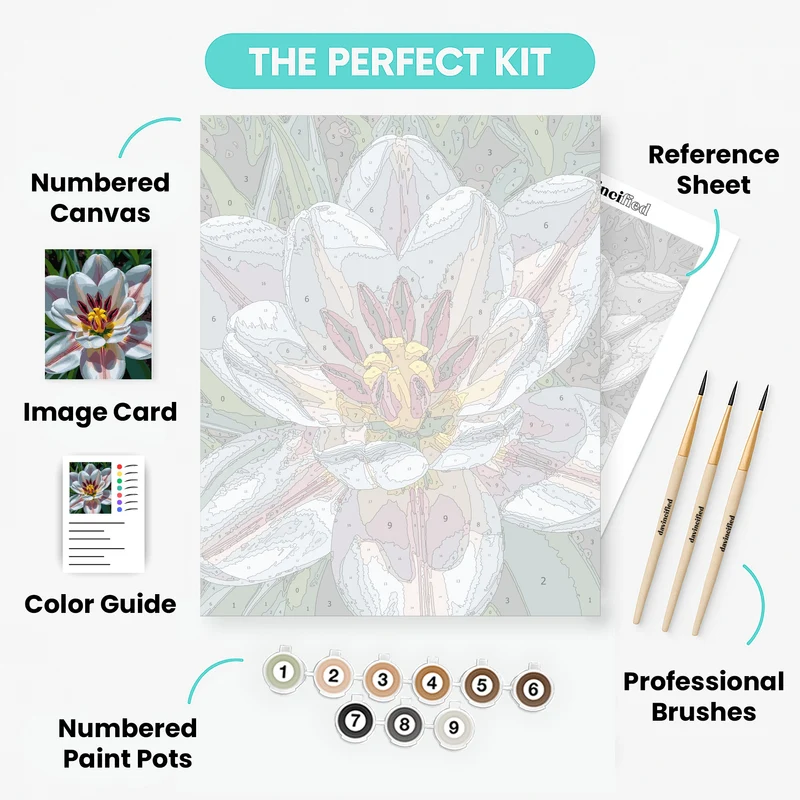 White Tulip Bloom - Paint by Numbers Kit