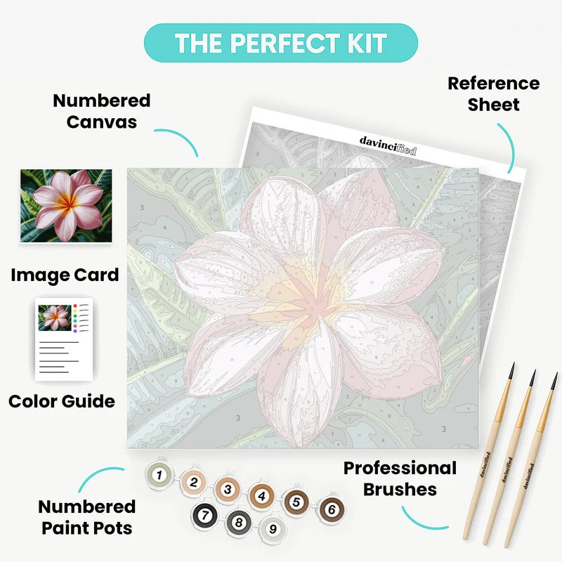 Pink Plumeria Tropical Flower - Paint by Numbers Kit
