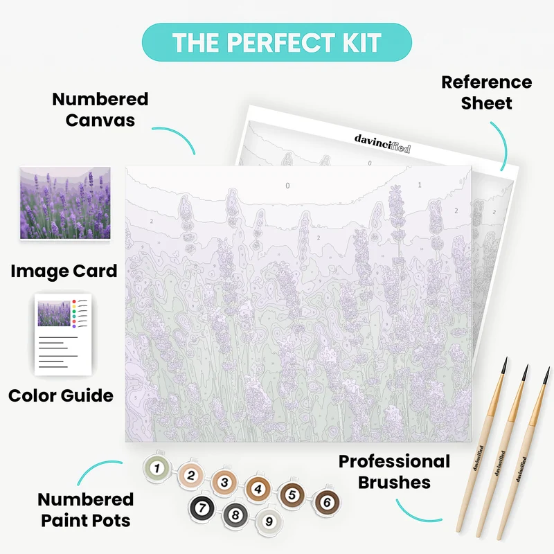Lavender Field - Paint by Numbers Kit