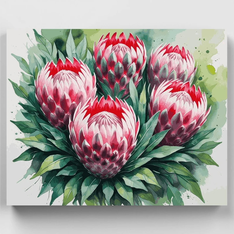 Watercolor Protea Cluster Blooms - Paint by Numbers Kit