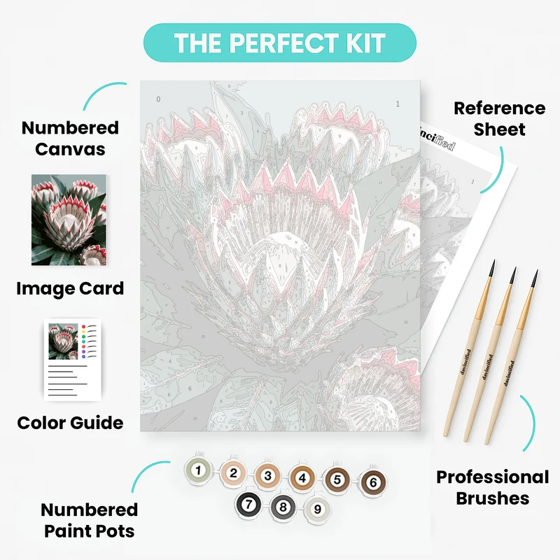 Protea Flowers - Paint by Numbers Kit