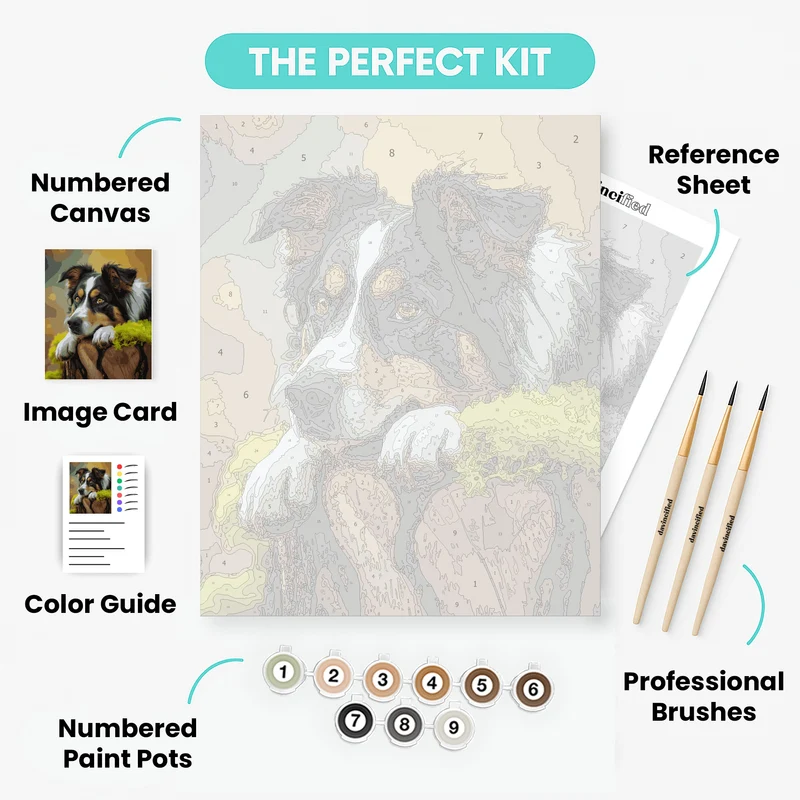 Australian Shepherd on Tree Stump - Paint by Numbers Kit